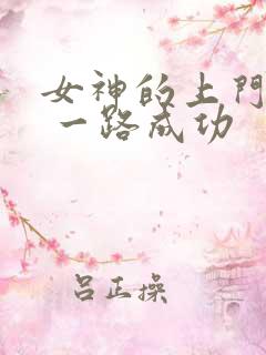 女神的上门贵婿 一路成功