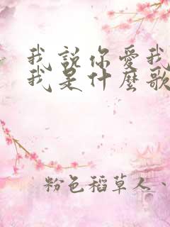 我说你爱我你想我是什么歌