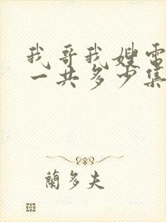 我哥我嫂电视剧一共多少集