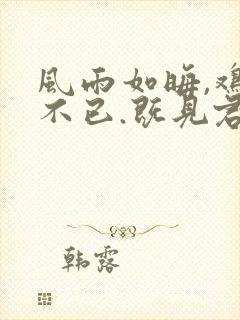 风雨如晦,鸡鸣不已.既见君子,云胡不喜.