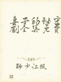 妻子的秘密电视剧全集免费观看人