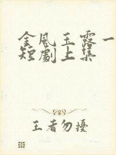 金风玉露一相逢短剧上集