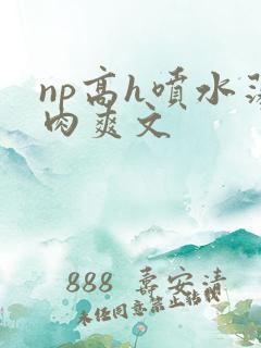 np高h喷水荡肉爽文