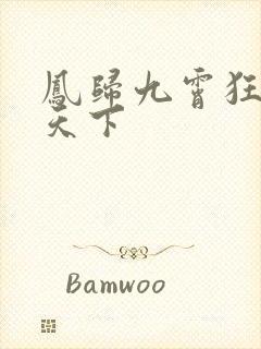 凤归九霄狂妃逆天下