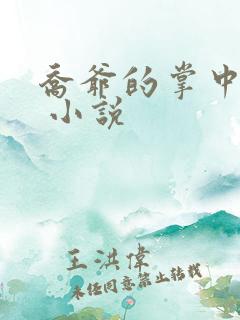 乔爷的掌中宠妻 小说