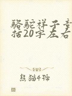 骆驼祥子章节概括20字左右