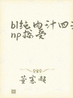 bl纯肉汁四溅np总受