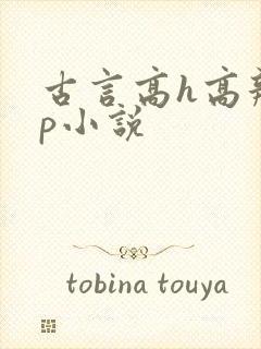 古言高h高辣np小说