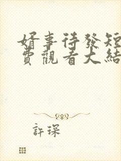 婿事待发短剧免费观看大结局后续