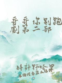 哥哥你别跑电视剧第二部