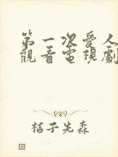 第一次爱人免费观看电视剧全集高清