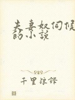 夫妻奴伺候主人的小说