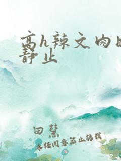 高h辣文肉时间静止