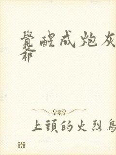 觉醒成炮灰真少爷