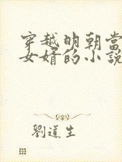 穿越明朝当朱棣女婿的小说