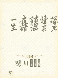 一夜锁情总裁先生请温柔免费全集