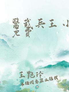 医武兵王 小说免费