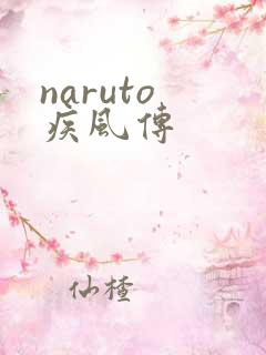 naruto 疾风传