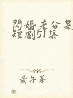 闪婚老公是豪门短剧51集