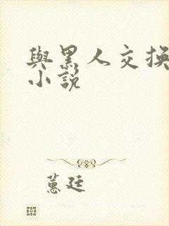 与黑人交换女友小说
