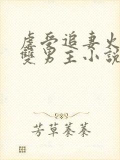 虐受追妻火葬场双男主小说