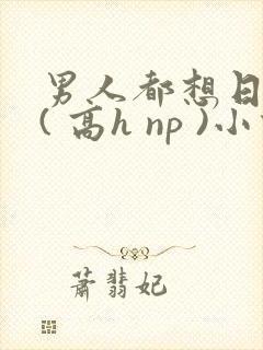 男人都想日她 ( 高h np )小说