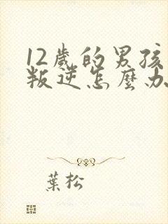 12岁的男孩子叛逆怎么办