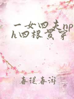 一女四夫np高h四根贯穿
