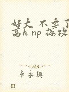 好大 不要了 高h np 总攻