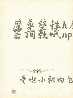 魔尊双性h壁便器调教哦np