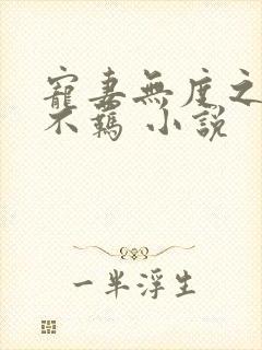 宠妻无度之嫡妃不羁 小说