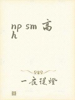 np sm 高h