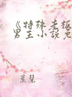 《特殊老板》双男主小说免费阅读