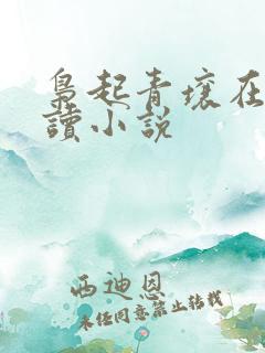 枭起青壤在线阅读小说