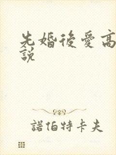先婚后爱高h小说