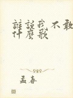 谁说我不敢过是什么歌