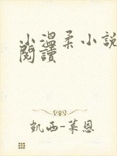 小温柔小说在线阅读