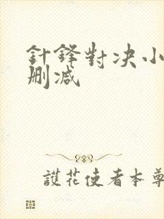 针锋对决小说未删减