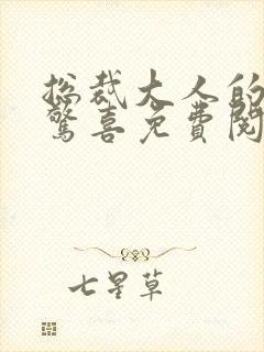 总裁大人的意外惊喜免费阅读全文