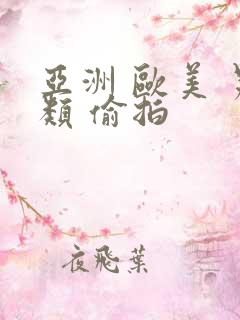 亚洲 欧美 另类 偷拍