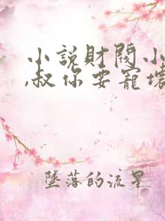 小说财阀小娇妻,叔你要宠坏我了笔趣阁阅读