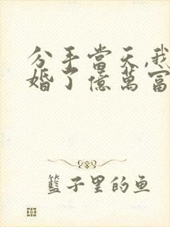 分手当天,我闪婚了亿万富豪小说免费阅读