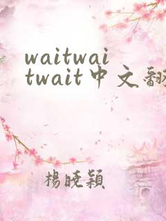 waitwaitwait中文翻译