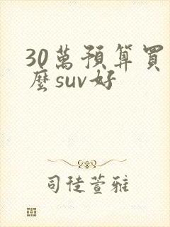 30万预算买什么suv好