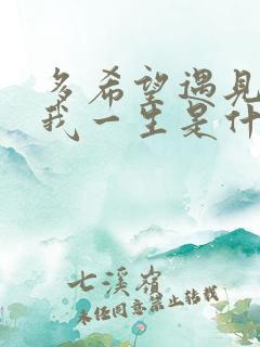 多希望遇见你是我一生是什么歌