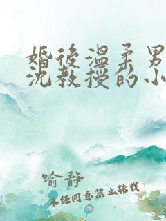 婚后温柔男主叫沈教授的小说