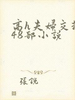 高h夫妇交换第48部小说