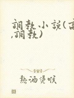 调教小说(高h,调教)