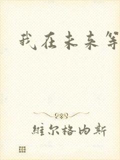 我在未来等你.