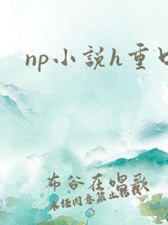 np小说h重口